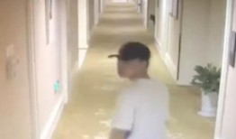 卢力徒弟爆料了吗视频播放,揭秘背后真相